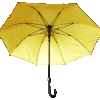 yellow lining tyvek umbrella